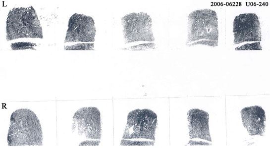 2006_06228 Fingerprints