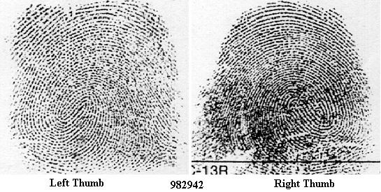 1998_2942 Fingerprints
