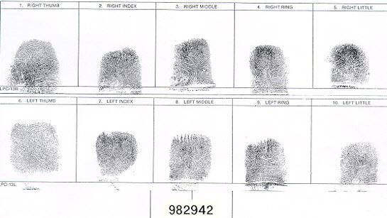 1998_2942 Full Fingerprints