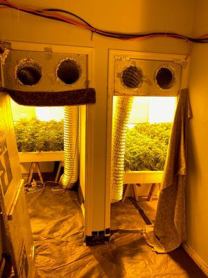 LE20-410-Illegal-Grow-Rooms