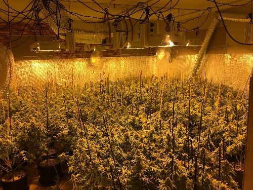 Illegal Indoor Marjuana Operation
