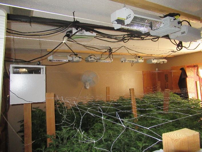 Illegal Indoor Marijuana Grow