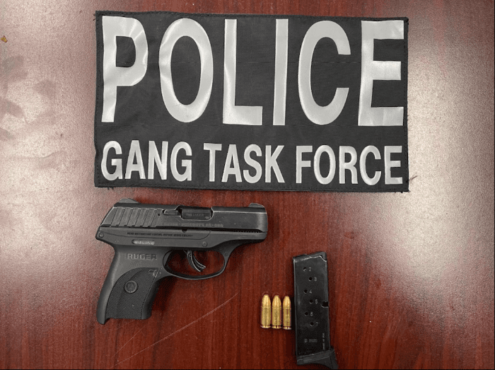 Pollice Gang Task Force-Handgun